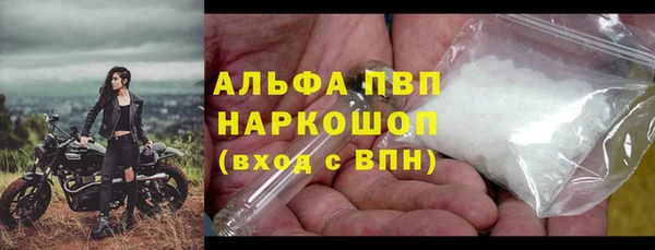 гашик Михайловск