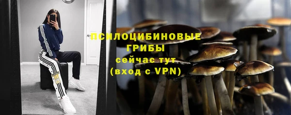 СК Михайлов