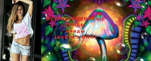 ПСИЛОЦИБИНОВЫЕ ГРИБЫ Михайловка