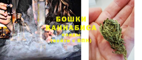 гашик Михайловск