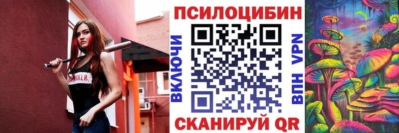 Галлюциногенные грибы Magic Shrooms  купить наркоту  Туринск 